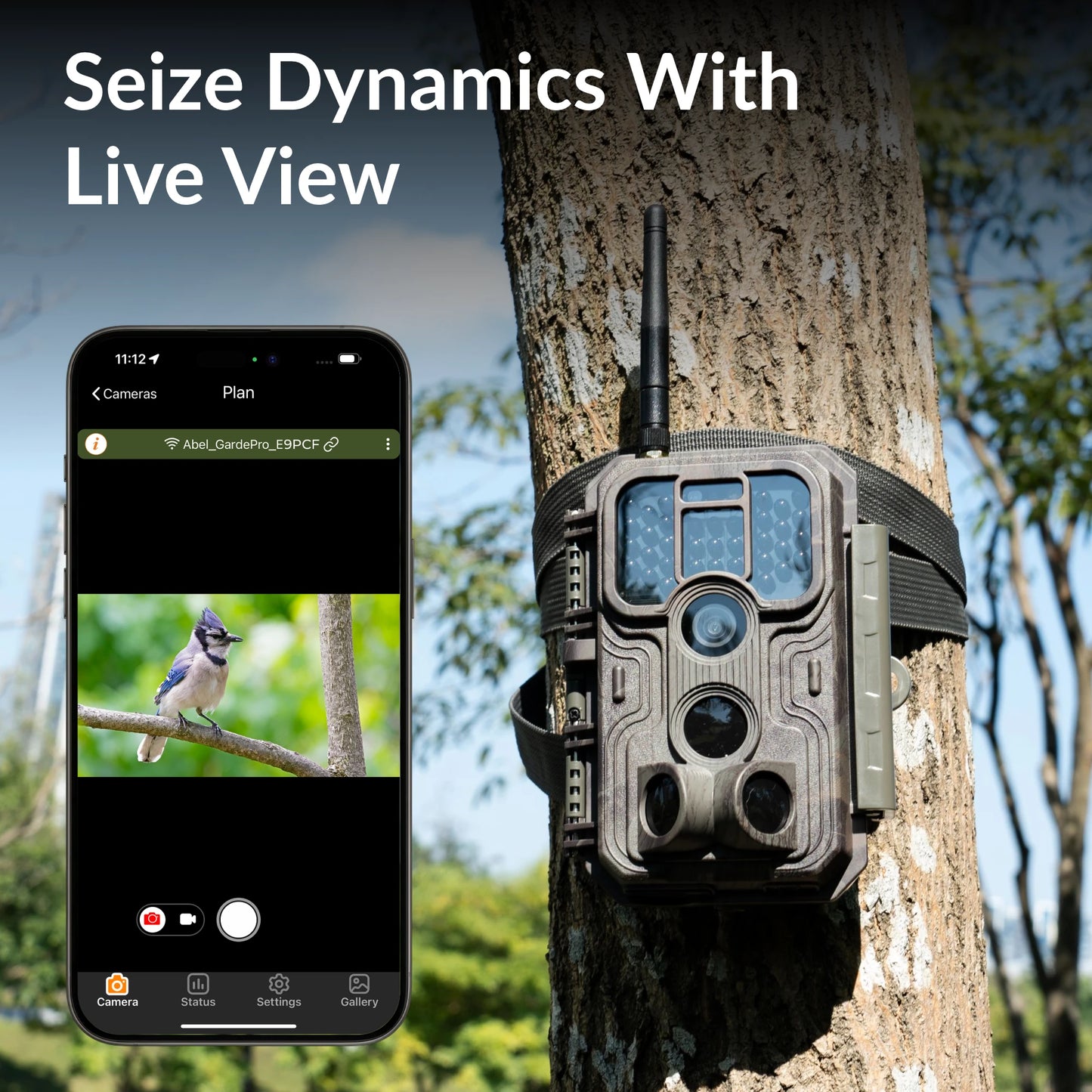 video recording best trail camera for wildlife, good trail camera, live feed trail camera, trail cameras for security