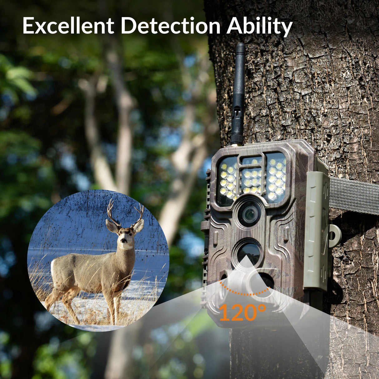 trail camera reviews, sales on trail cameras