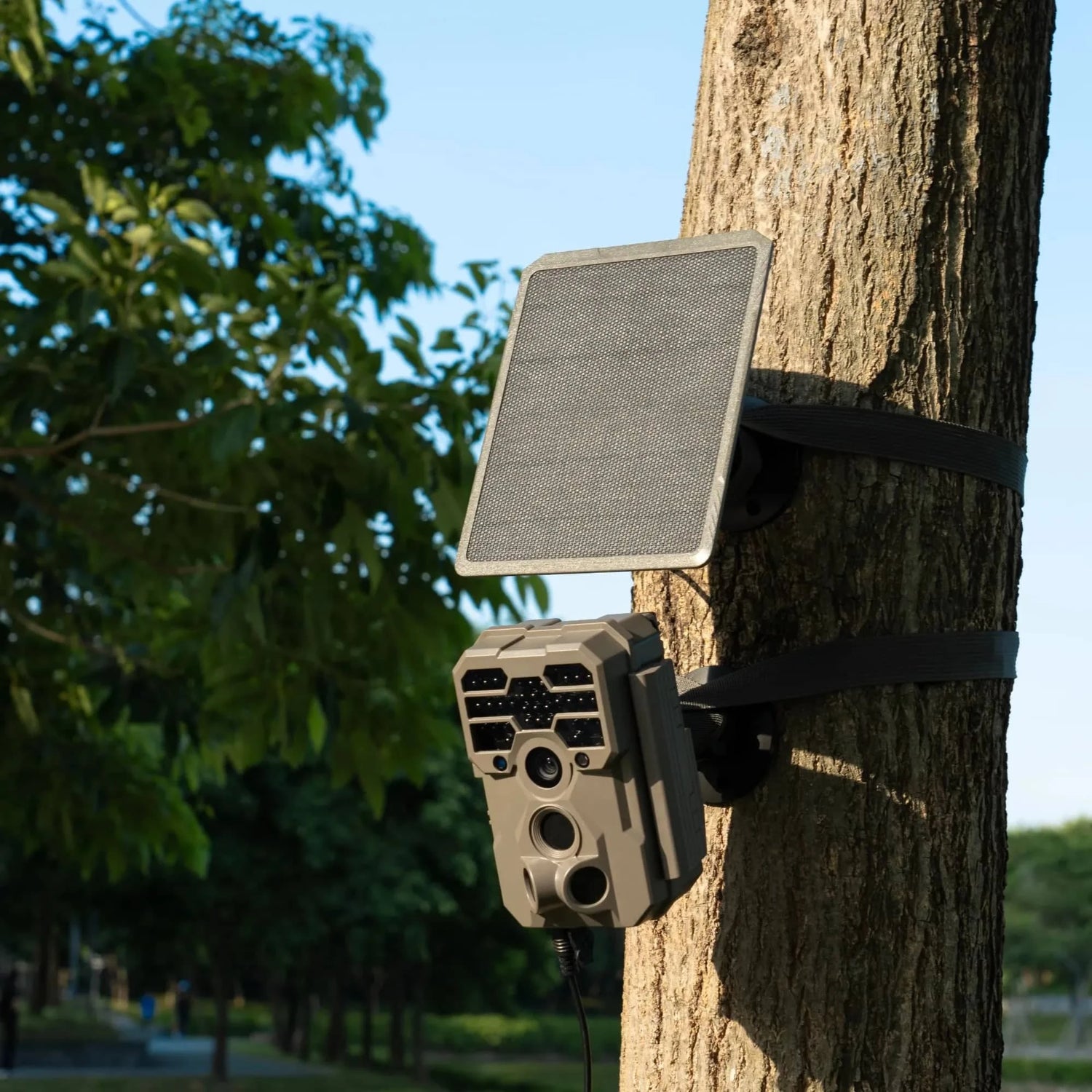 GardePro A60 4K trail camera supports solar panel charging, providing continuous power for extended use, making it one of the best game cameras for outdoor monitoring.