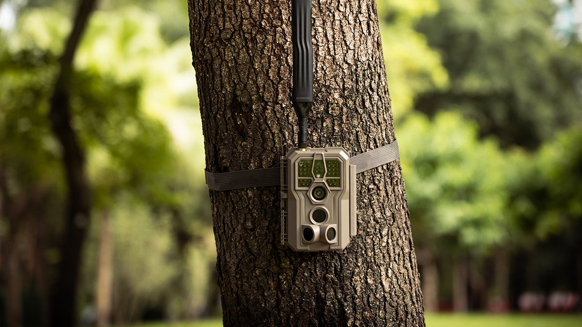 GardePro Cellular Trail Camera Data Plan
