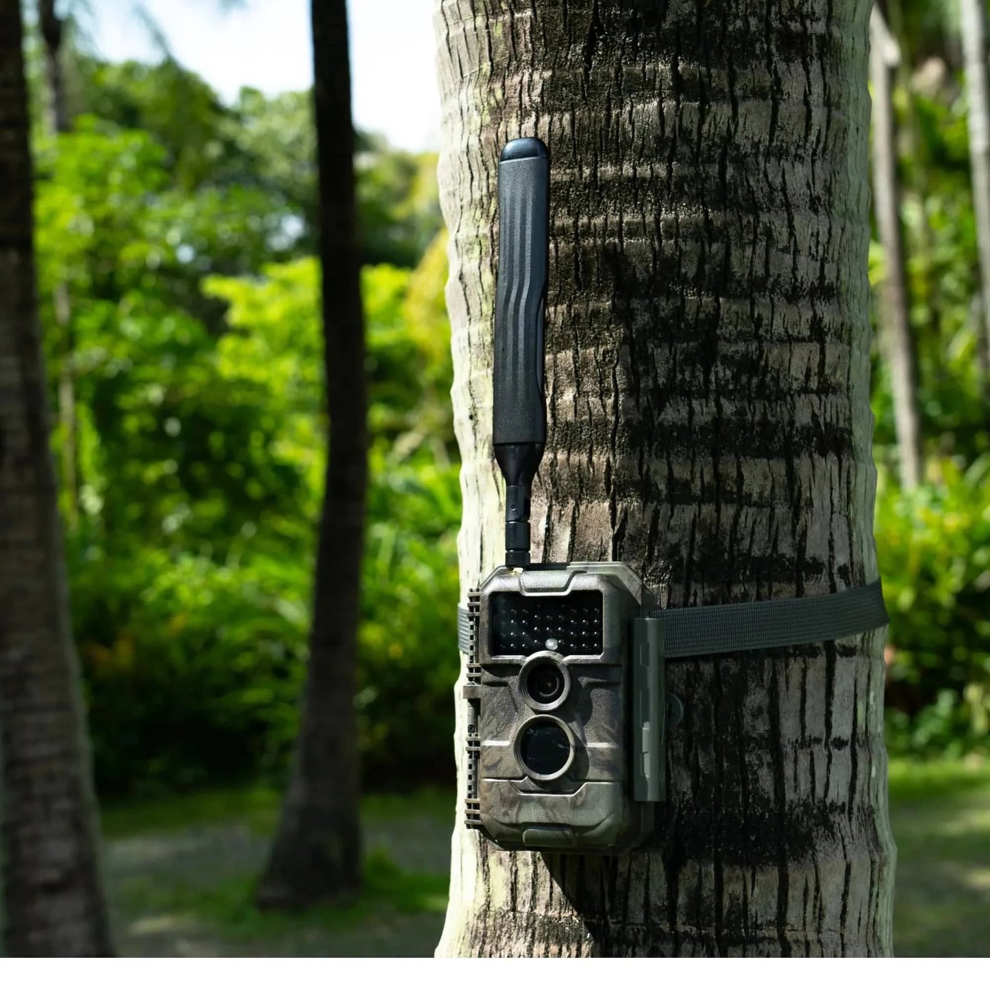 GardePro Trail Camera x20 