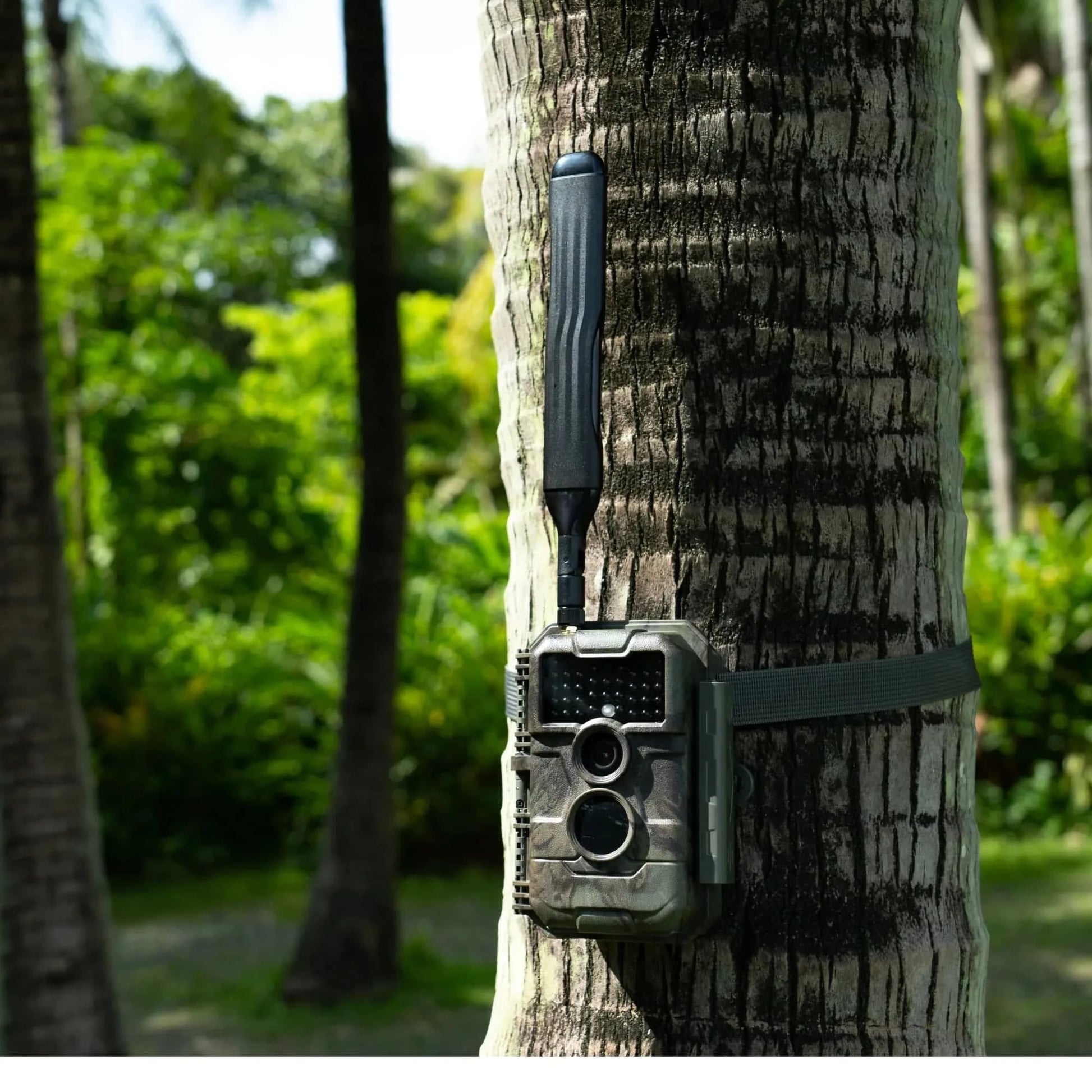 GardePro Trail Camera x20 