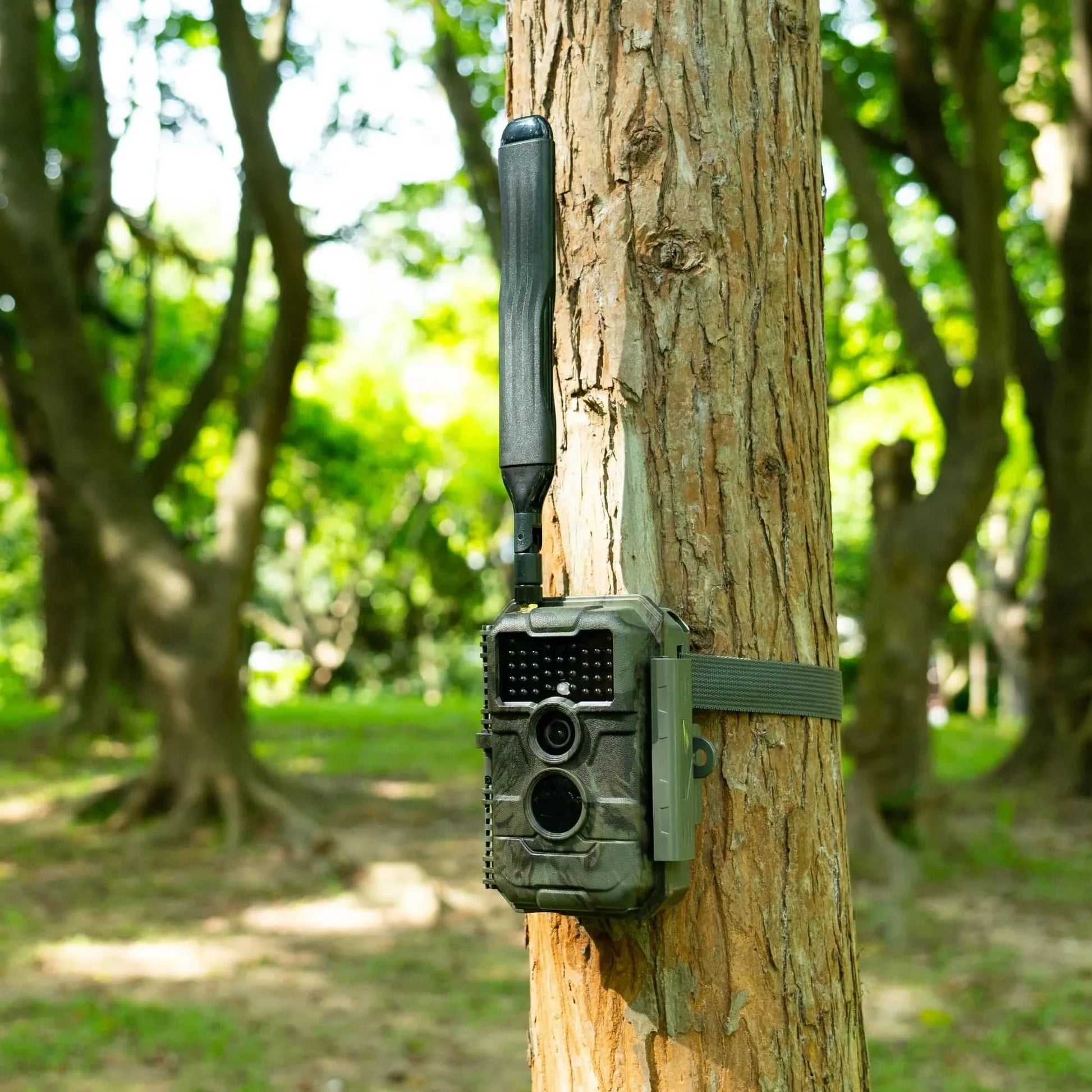 GardePro Trail Camera x20 