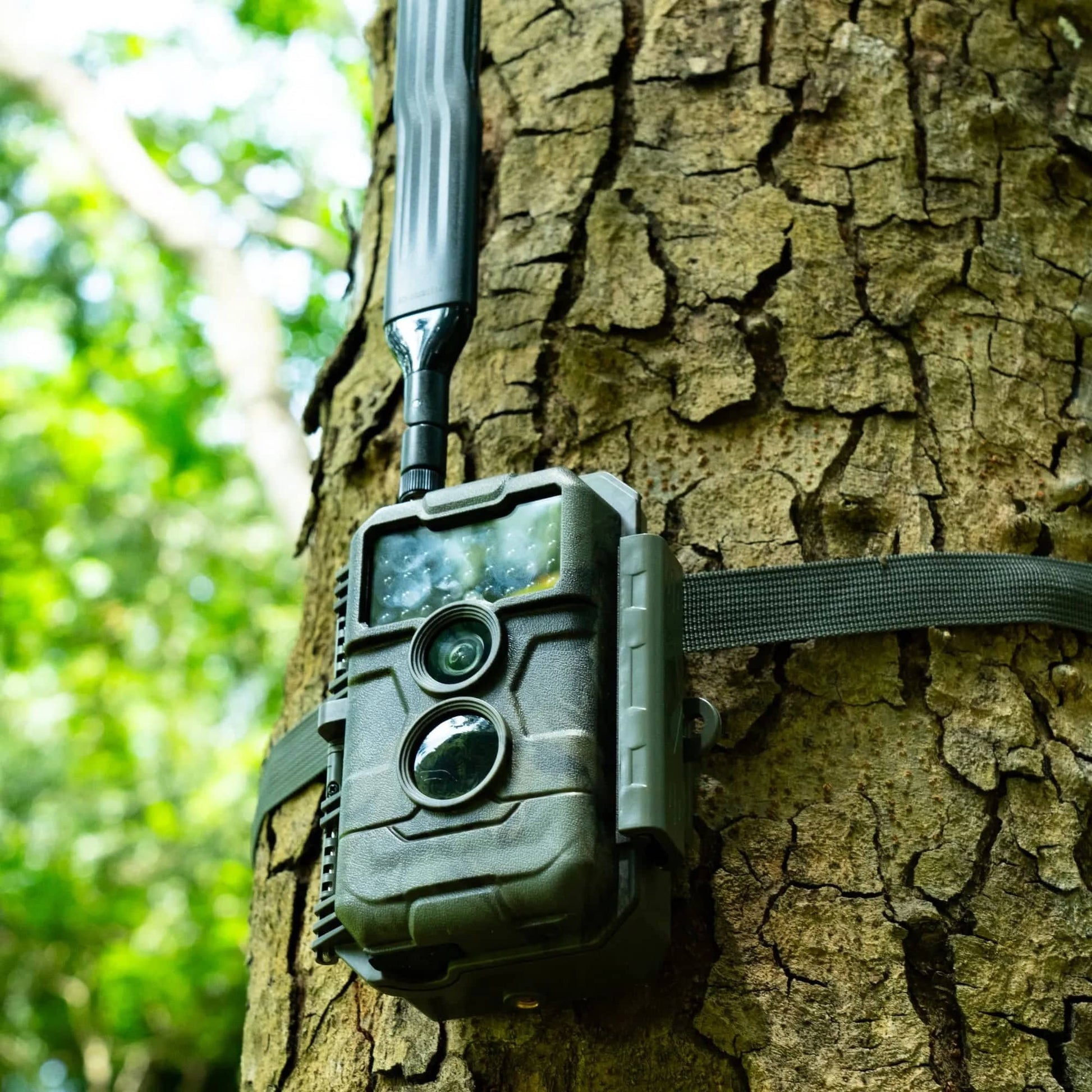 GardePro Trail Camera x20 