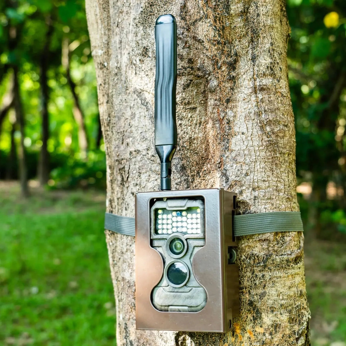 Guardpro GardePro X20WF Cellular Trail Camera with White Flash