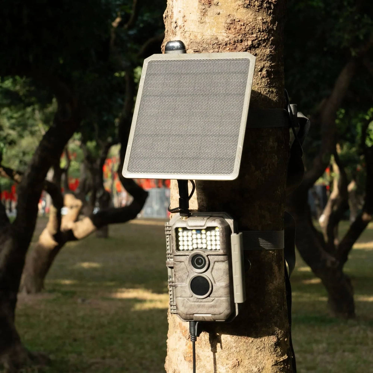 GardePro X20WF (Cellular) with Solar Panel