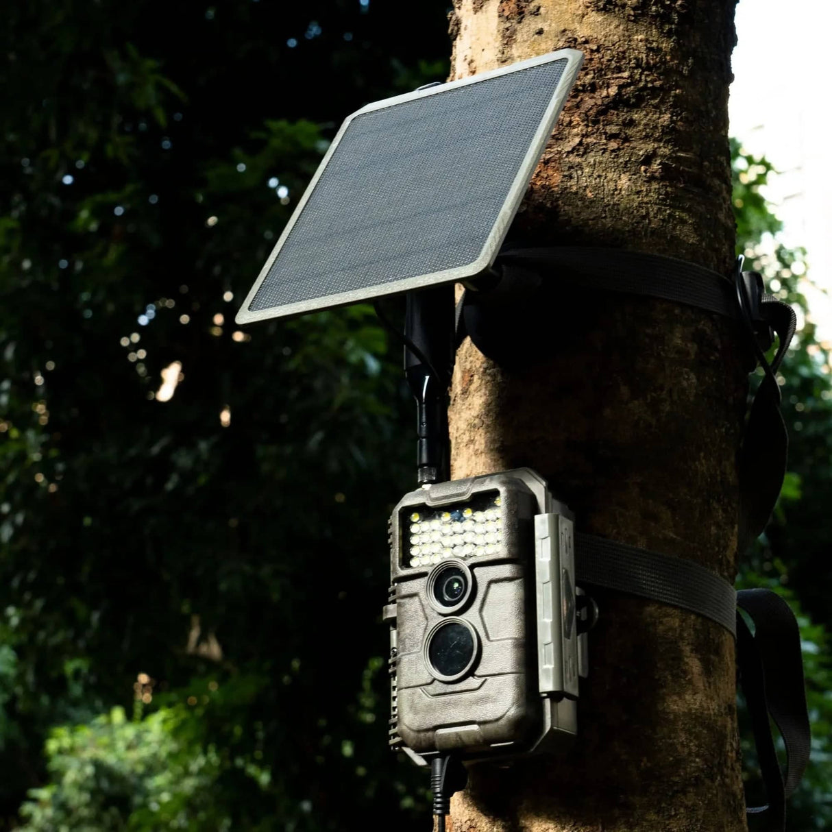 GardePro X20WF (Cellular) with Solar Panel