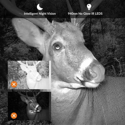 GardePro X20 Cellular Trail Camera All-in-One Bundle - GardePro