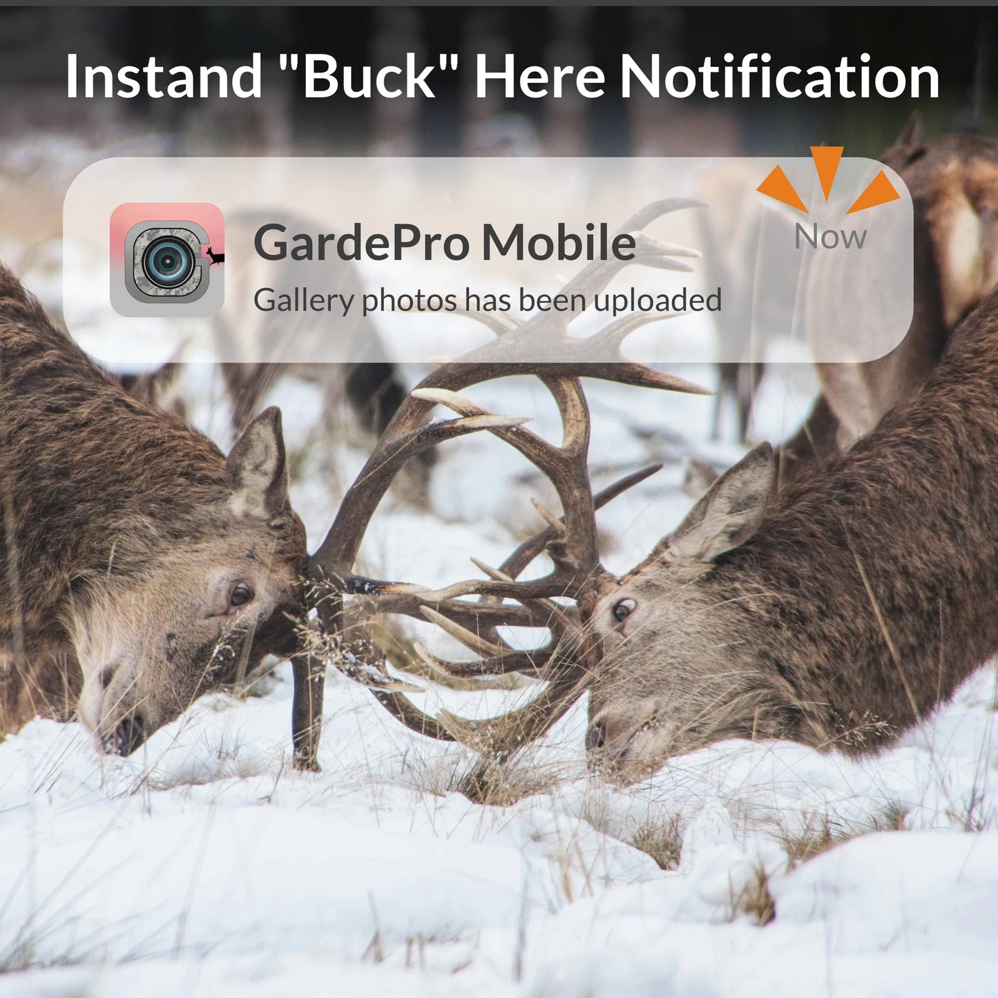 Rechargeable Cellular Trail Camera For Remote Scouting GardePro X60P rechargeable-cellular-trail-camera-for-remote-scouting-gardepro-x60p