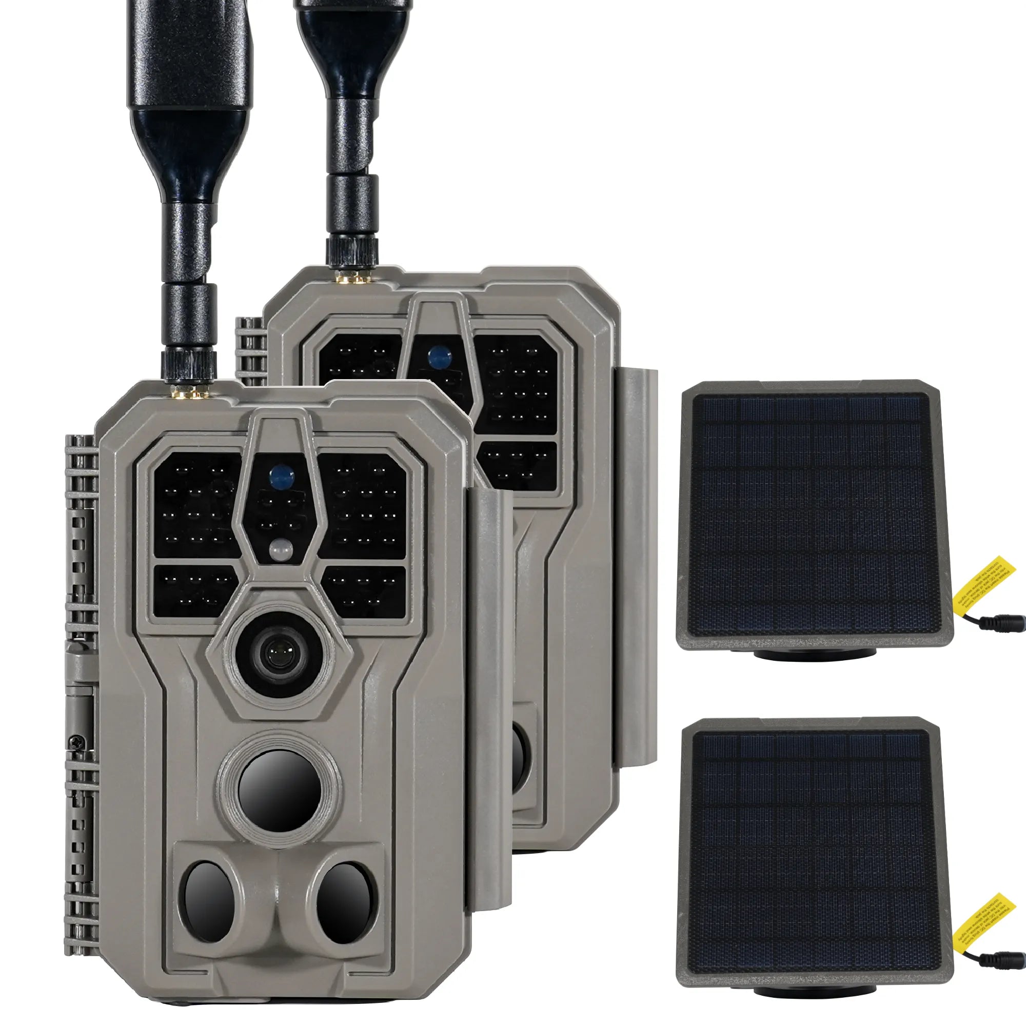 2-Pack Cellular Trail Cameras | 4G LTE Remote Viewing