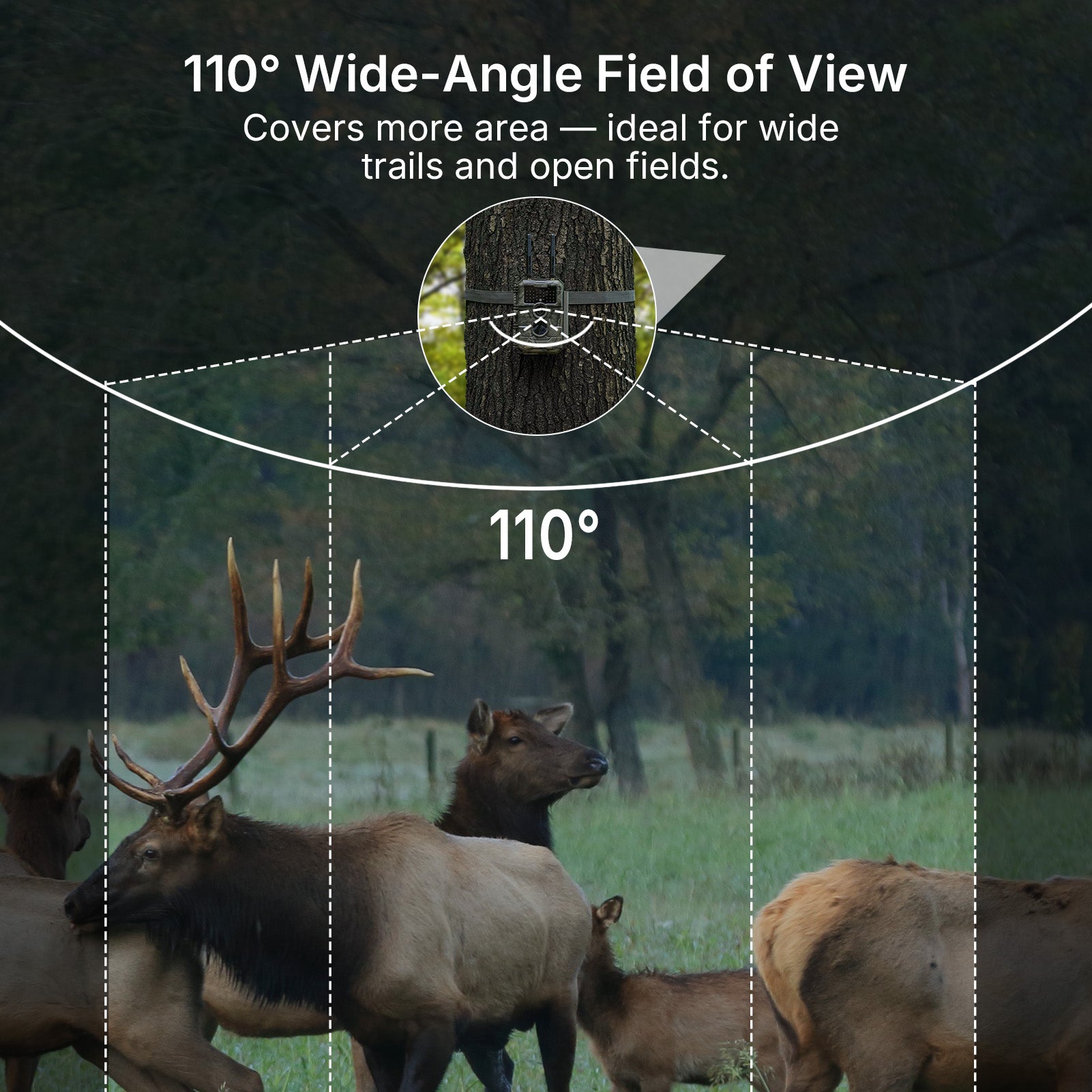 GardePro E6+ WiFi Trail Camera - GardePro