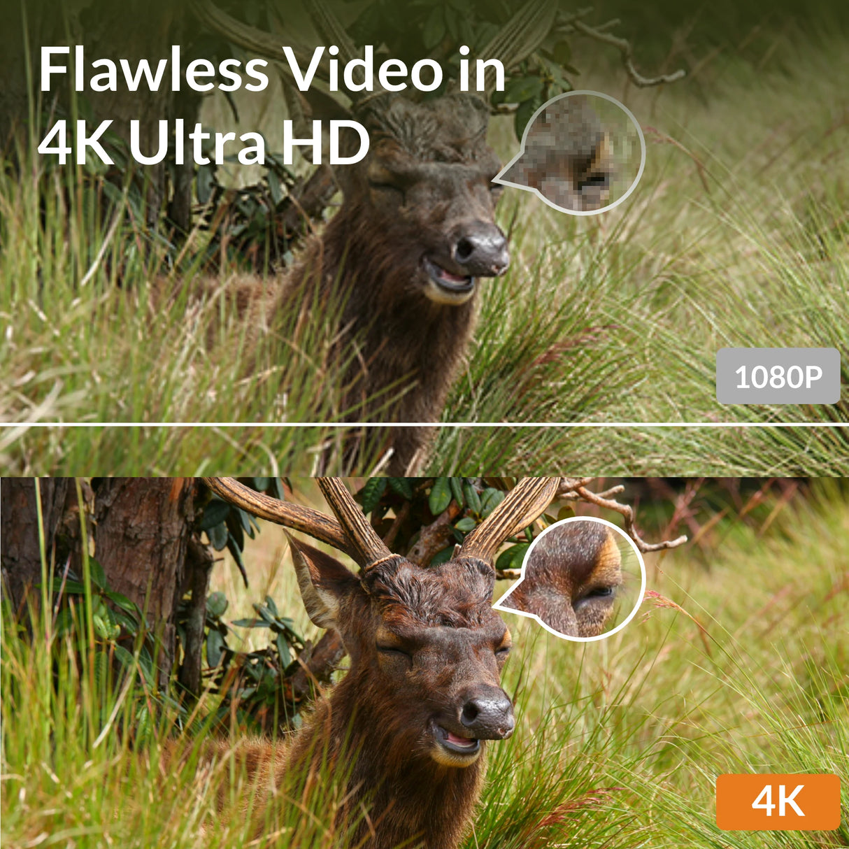 GardePro A80 Wi-Fi 4K Trail Camera