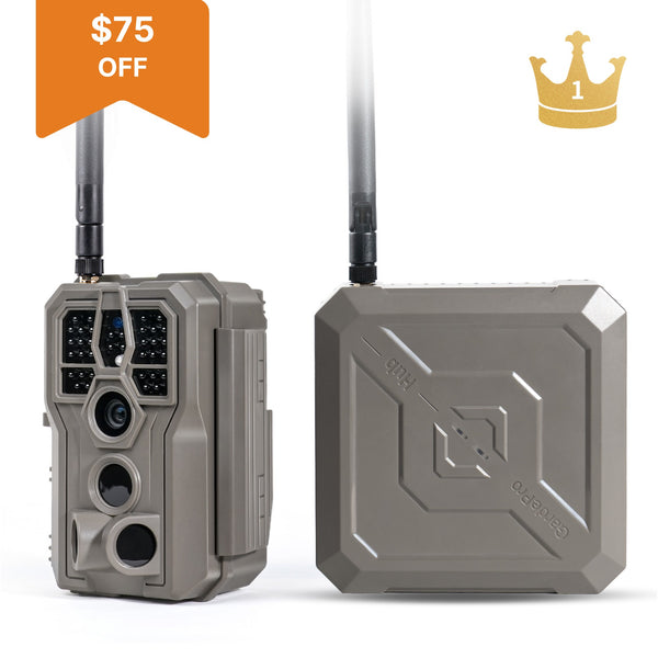 Buy Link 1.0 Bundle→ Get a Free SP300