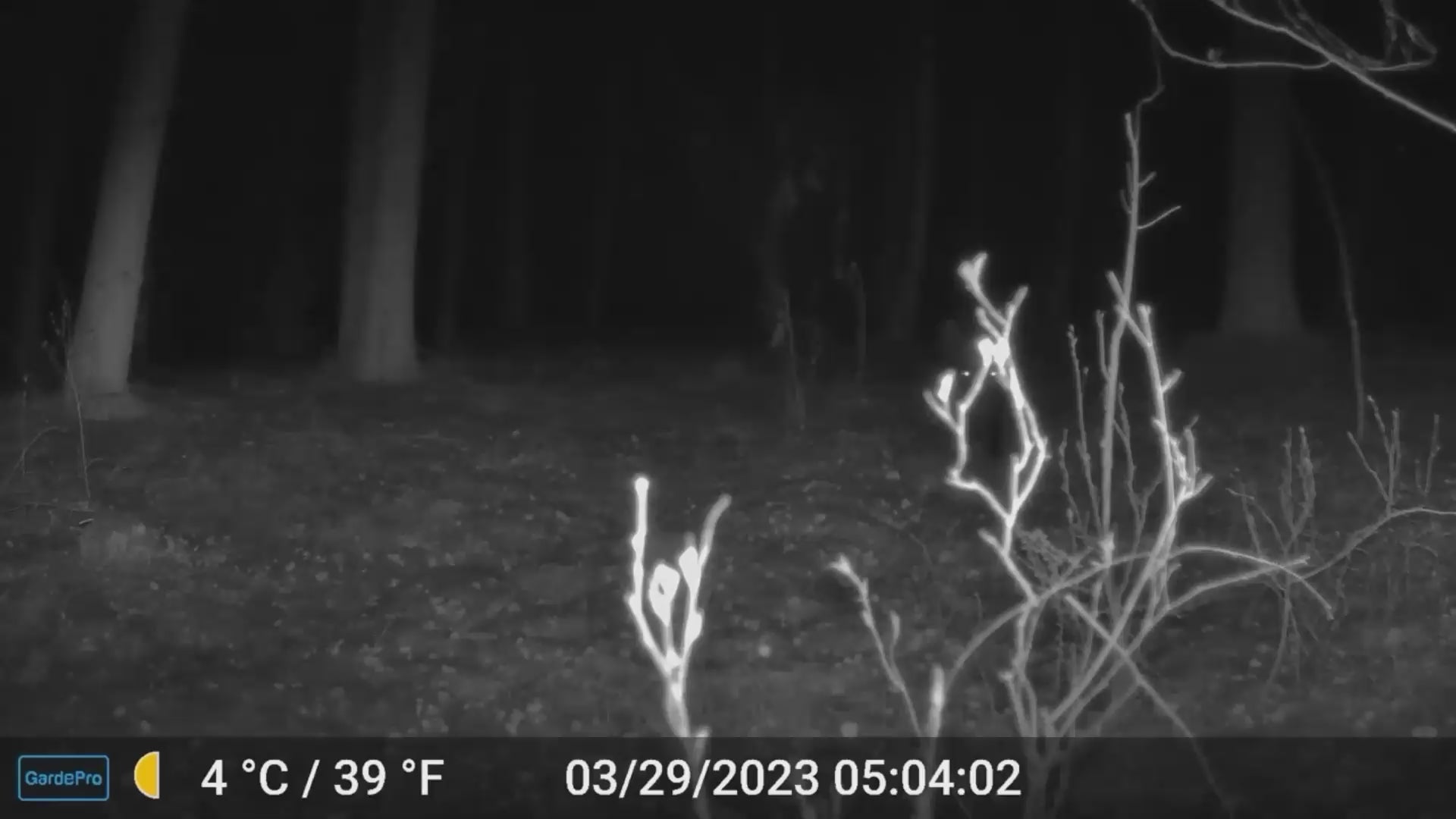 Load video: GardePro WiFi Trail Camera E9 Sony Sensor Night Vision