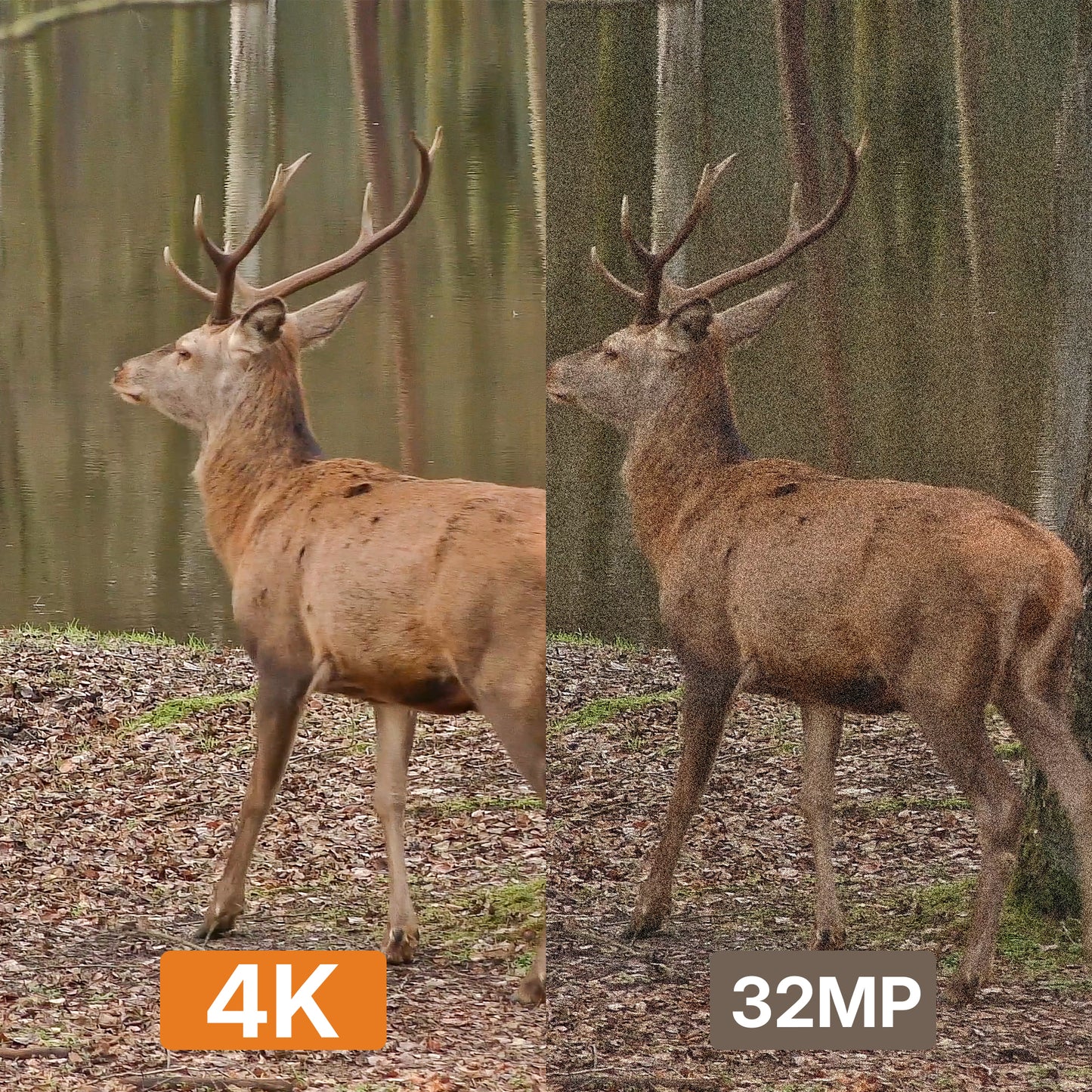 GardePro Link 3000ft(1km ) Long-Range Wireless Trail Camera - GardePro