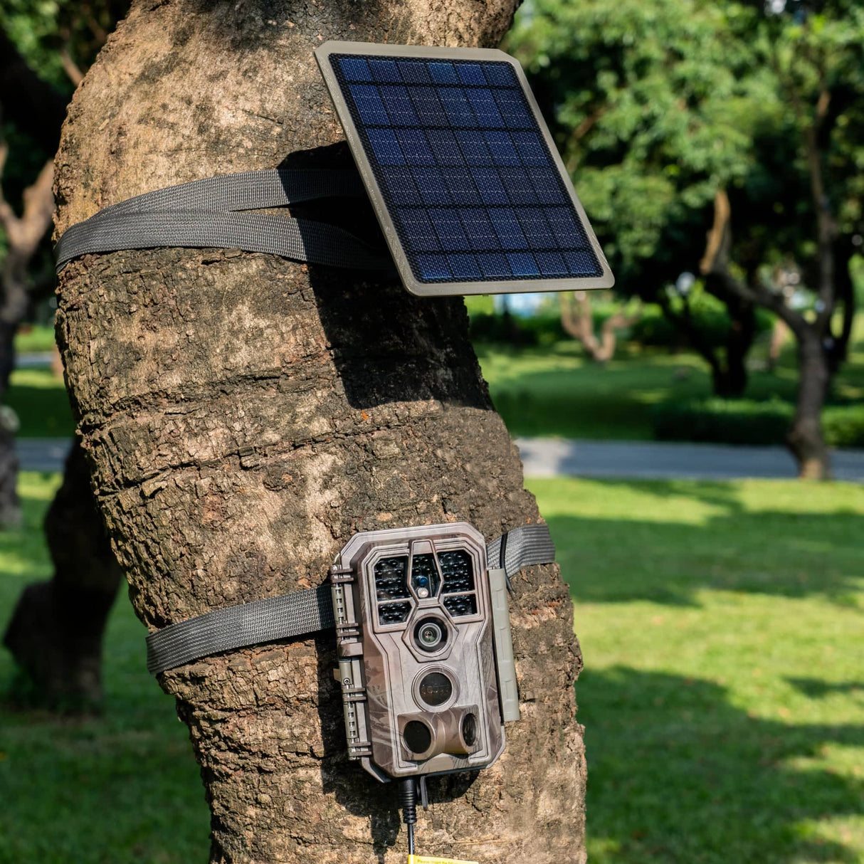 Solar Panel SP300 for GardePro Trail Camera E6P, E6PCF, E8P, E8PWF, X60P, X60PMB