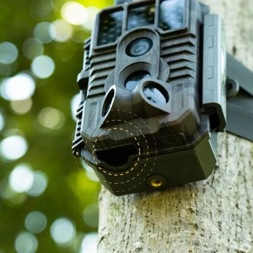 Best cellular trail camera with DC 12V input for connecting to external power sources like AC/DC adapters.