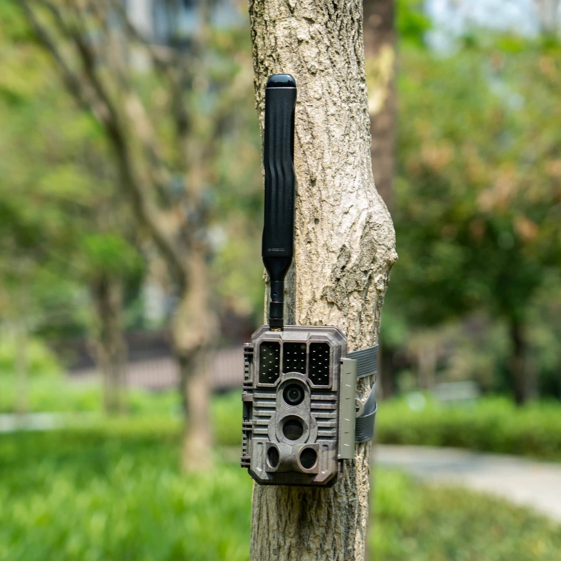 GardePro X60PMB (Cellular) SIM-Free with Solar Panel – GardePro