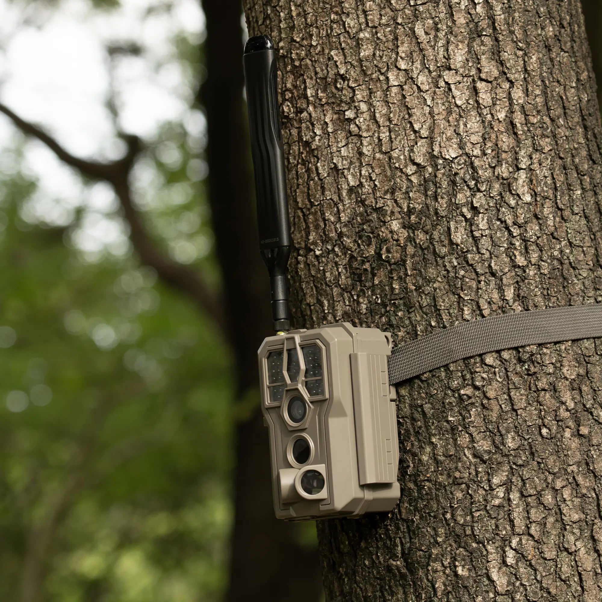 Garde Pro Trail Cameras Hunting Camera GardePro E8 Trail Camera